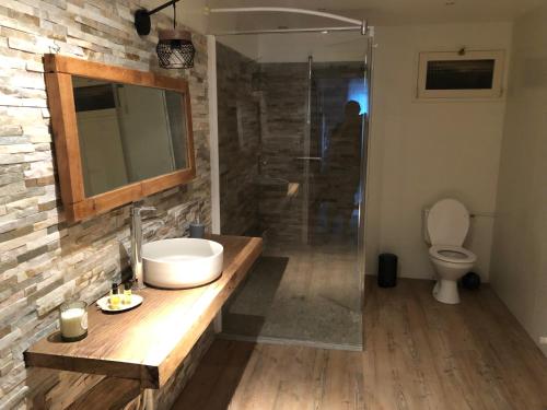 y baño con lavabo y ducha. en Maison de caractère proche centre ville et termes, en Bourbonne-les-Bains