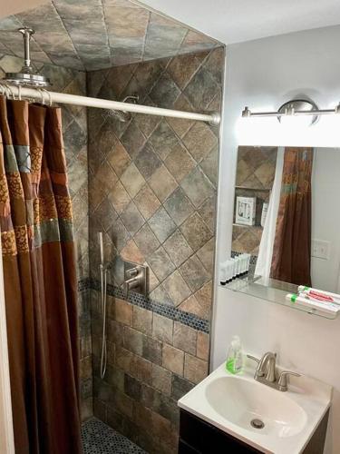 a bathroom with a shower with a sink and a mirror at Charming Studio in the Heart of Springfield in Jacksonville