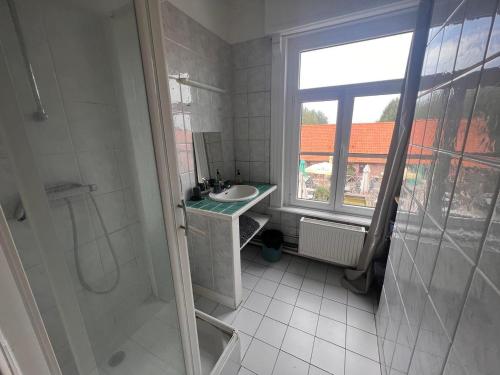 baño con ducha, lavabo y ventana en Welkom huis, en Eecke