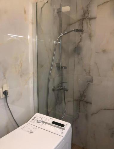 アフィトスにあるAfyAppartのトイレの隣にガラスドア付きのシャワーが備わります。