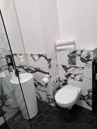 a black and white bathroom with a toilet and a sink at NADMOTŁAWIE in Gdańsk