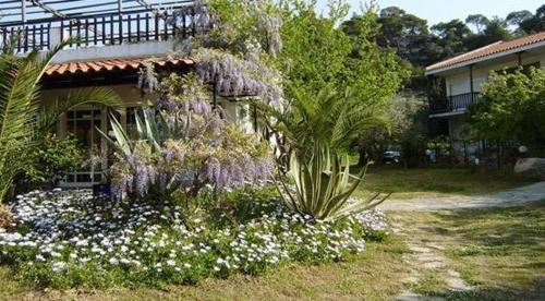 a garden with flowers in front of a house at Spathies in Kalogria