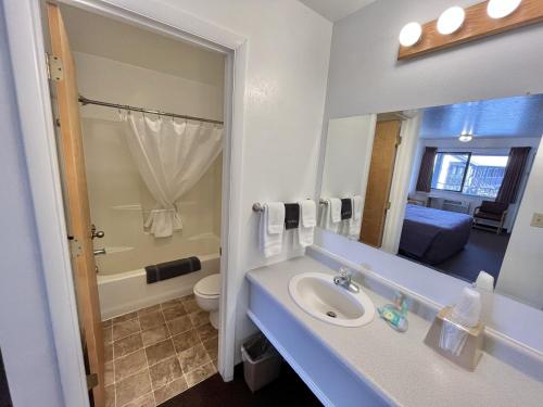 a bathroom with a sink and a toilet and a mirror at Red Bear Inn in Ennis