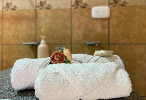 a towel with a rose on a counter in a bathroom at Hospedaje Coffee and cocktails in Estelí