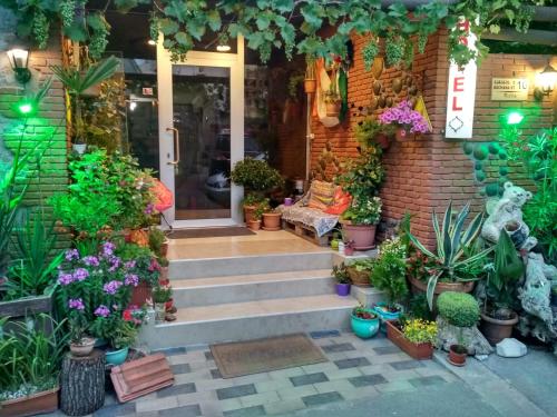 a store front with a bunch of potted plants at Hotel Villa in Tbilisi City