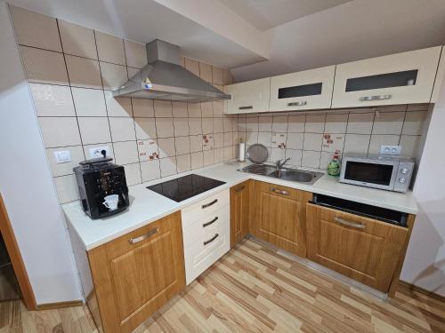 Η κουζίνα ή μικρή κουζίνα στο Apartma Ferida