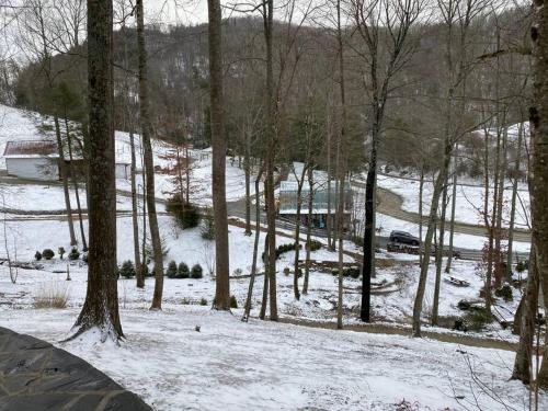 een met sneeuw bedekt bos met bomen en een besneeuwde grond bij Airstream at a Petting Zoo w/ Hot Tub in Sugar Grove