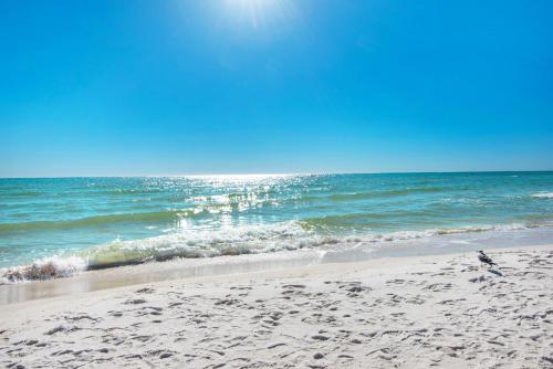 um pássaro parado numa praia de areia junto ao oceano em Venus 306 condo em Fort Walton Beach