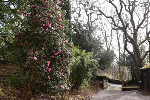 Ein Garten an der Unterkunft The Bothy