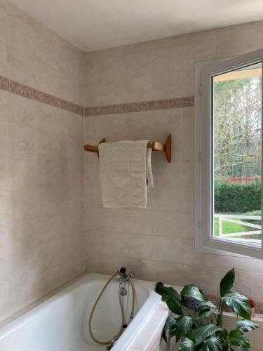 une salle de bain avec une baignoire et une fenêtre dans l'établissement Chez Suzanne, à Écouen