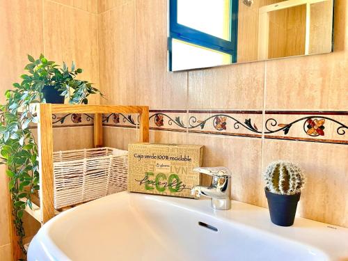 a bathroom with a sink and a mirror and a cactus at Paradise Home By Gloove in Villajoyosa