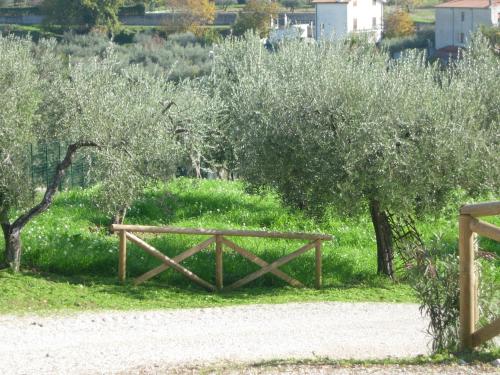 Taman di luar Angelucci Agriturismo con Camere e Agri Camping