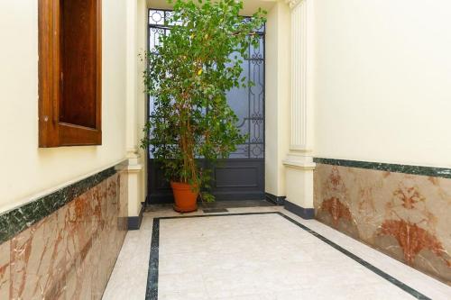 Sweet Oleandra - Central Turin photo 20