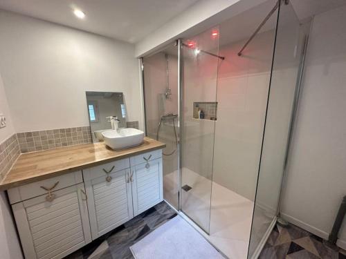 a bathroom with a glass shower and a sink at Maison plain pied au calme proche centre d’Orléans in Orléans