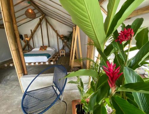 Cette chambre comprend un lit, une chaise bleue et une plante. dans l'établissement Glamping Las Olas by Rotamundos, à Montepio