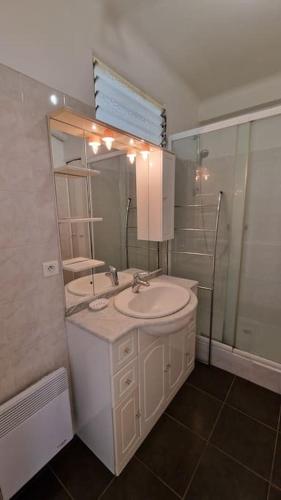 une salle de bain avec un lavabo, un miroir et une douche dans l'établissement Studio for 2 near the Croisette central with balcony 133, à Cannes