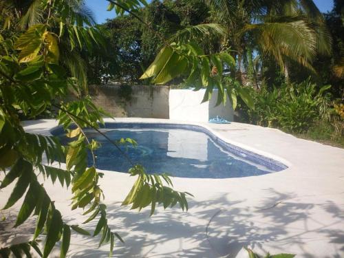 a swimming pool in a yard with palm trees at Cabinas Yamann in Manzanillo