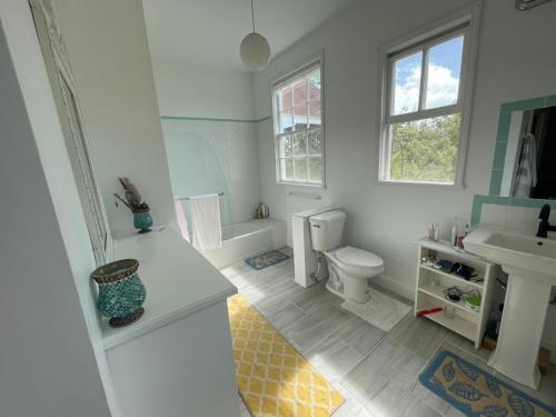 a bathroom with a toilet and a sink at Bahamian Farm House in Rock Sound
