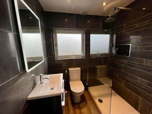 een badkamer met een toilet, een wastafel en een douche bij Stylish Home 20 mins from Dublin City in Dublin