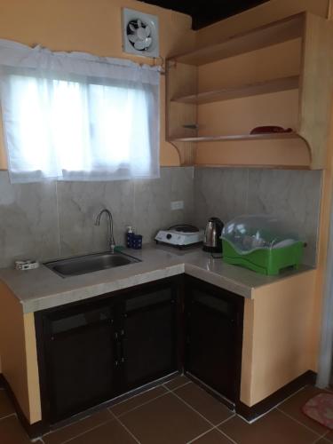 a kitchen with a sink and a counter top at Gardenview Homestay Siargao in General Luna