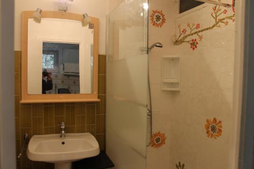 een badkamer met een wastafel en een douche met een spiegel bij MAISON AUGUY in Saint-Julien-Boutières