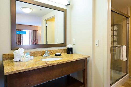 a bathroom with a sink and a large mirror at Hampton Inn & Suites Jacksonville in Jacksonville