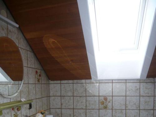 La salle de bains est pourvue d'un plafond en bois et d'un lavabo. dans l'établissement Apartment in Zickhusen OT Drispeth, à Langenargen