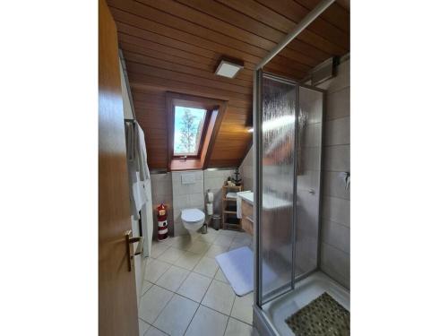 a small bathroom with a shower and a toilet at Apartment with beautiful sea view in Pappenheim