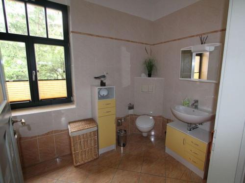 een badkamer met een wastafel en een toilet bij Holiday apartment Elbtalblick in Meißen