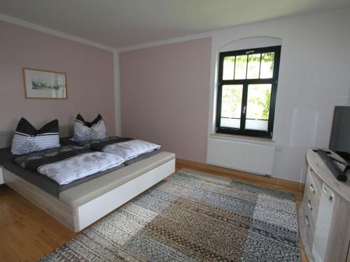 een slaapkamer met een bed, een raam en een televisie bij Holiday apartment Elbtalblick in Meißen