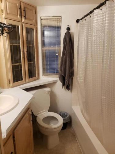 a bathroom with a toilet and a sink and a shower at Odysea Ocean Cabin 26 w Jacuzzi & Modern Decor in Smith River