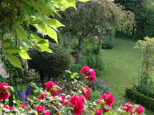 a garden with pink flowers and a tree at Marguerite's Ferme rustique in Saint-Germain-du-Bois