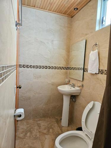 un bagno con un water e un lavandino di Cabañas en Zacatlán a Zacatlán
