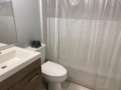 e bagno con servizi igienici, lavandino e doccia. di Fully furnished basement studio apartment a Mississauga