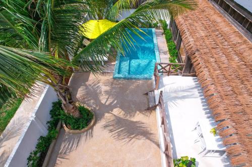 an overhead view of a swimming pool with a palm tree at One Beach Resort By EHM in Koh Rong Sanloem