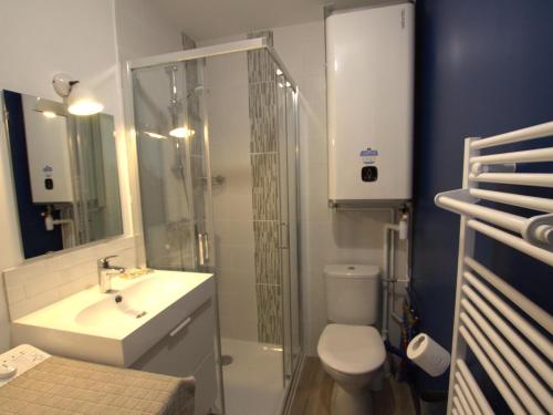 een badkamer met een toilet, een wastafel en een douche bij Appartement Chazelles-sur-Lyon, 2 pièces, 2 personnes - FR-1-496-298 in Chazelles-sur-Lyon