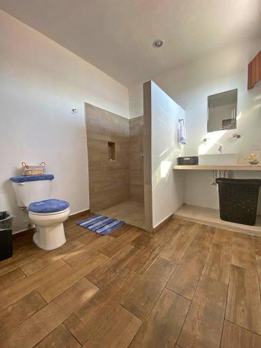 a bathroom with a toilet and a shower at La Conchita de Sisal 2 in Sisal