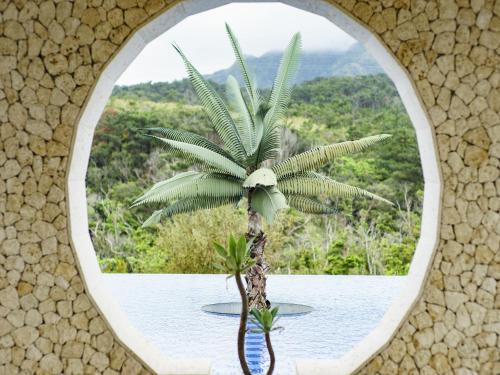 a palm tree is seen through a circular window at Oriental Hills Okinawa in Onna