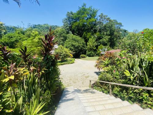 a path in a garden with plants and trees at La Purruja Lodge in Golfito