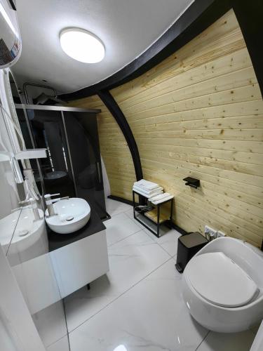 a bathroom with a toilet and a sink at Tsomtsog Ger, Seven Nuga Resort 