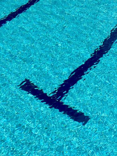 a shadow of a person in a pool of water at Olanro Hotel Negombo in Negombo