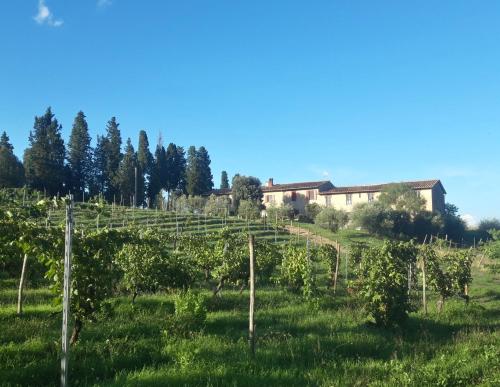 Imagen de la galería de Agriturismo Fattoria le caprine, en Gambassi Terme