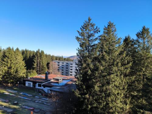 an aerial view of a building with a tree at Harz High End Fewo Nicholas 4 Sterne DTV in Goslar