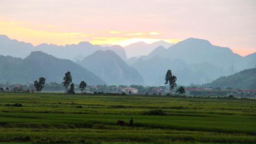 un grupo de personas en un campo con montañas en el fondo en Palafita Bungalow, en Phong Nha