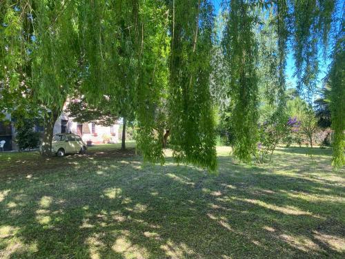 a tree in a park with a car parked under it at Affittacamere Ca' de Mazapedar in San Lorenzo