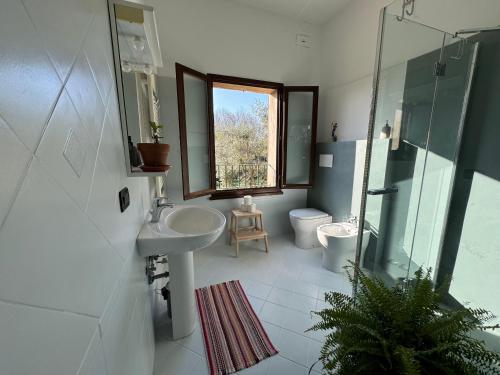 ein Bad mit einem Waschbecken, einer Dusche und einem WC in der Unterkunft Affittacamere Ca' de Mazapedar 
