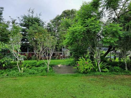a path through a park with trees and grass at Joyfarm Hostel in Tung-hsing