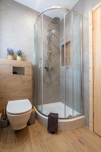 a bathroom with a shower and a toilet at Domki Tatrzański Przystanek in Białka Tatrzanska