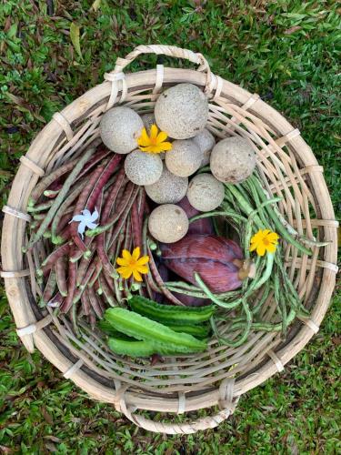 a basket full of vegetables on the grass at Sahana Retreat in Buttala