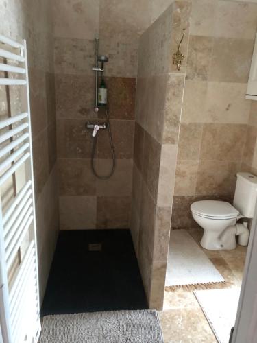 a bathroom with a shower with a toilet at La Sirène in Grand-Village-Plage